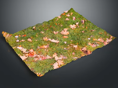 Green Moss Mat With Orange And Red Fallen Leaves Natural Plant Textured Surface Decor 3d model