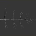 Dried Plant Branch With Thin Delicate Twigs Covered In Frost On Gray Background With Reflection