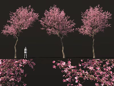 Three Pink Flowering Shrubs With Abundant Blooms And Scattered Petals In Garden View 3d model