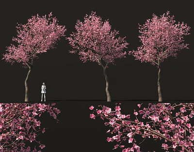 Three Pink Flowering Shrubs With Abundant Blooms And Scattered Petals In Garden View 3d model