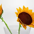 Decorative Ornament Set With Transparent Vase Two Sunflowers And Small Bottom Granules