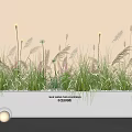 Green Grasses And Feathery Plants In White Rectangular Planter With Purple Flowers And Round Lamp
