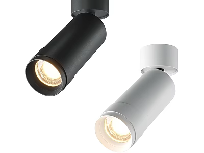 Modern Black And White Downlights Spotlights With Sleek Design And Bright Lighting 3d model