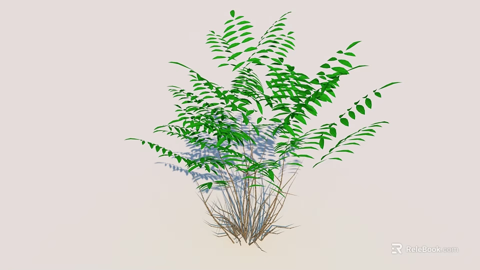 Lush Green Plants With Vibrant Leaves And Slender Stems In Natural Growth 3d model 