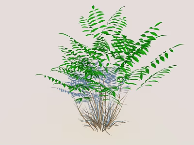 Lush Green Plants With Vibrant Leaves And Slender Stems In Natural Growth 3d model