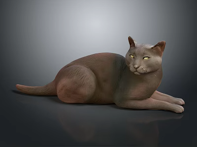 Relaxed Gray Cat Lying Down on Black Surface with Yellow Eyes 3d model