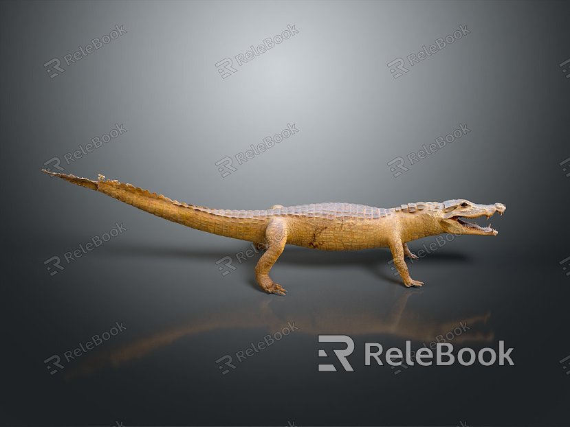 Crocodile Alligator Nile Crocodile carnivore reptile cold-blooded animal reptile reptile model