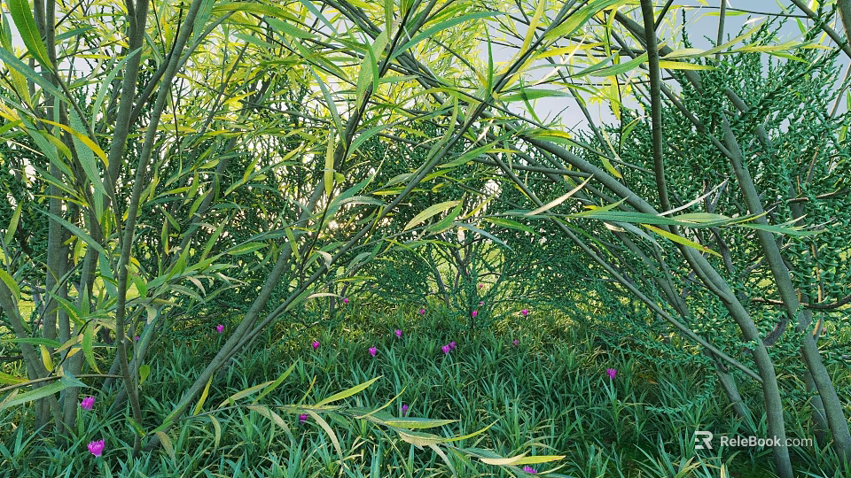 Lush Shrubs With Green Leaves Slender Branches And Purple Flowers In Sunlit Garden 3d model 