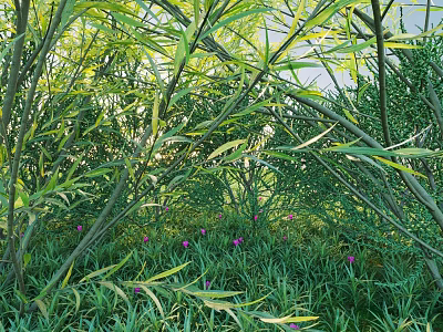 Lush Shrubs With Green Leaves Slender Branches And Purple Flowers In Sunlit Garden 3d model