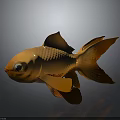 Orange Goldfish With Shiny Scales And Flowing Fins On Black Surface