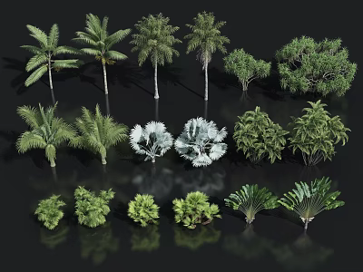 Diverse Collection of Trees Featuring Palm and Leafy Species with Varied Foliage and Shapes 3d model