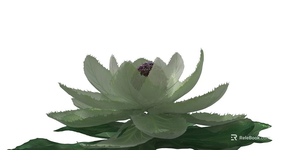 Beautiful Green Lotus Flower with Soft Petals and Purple Center 3d model 