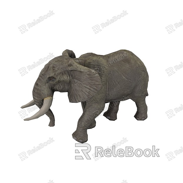 Elephant model