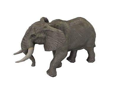 Elephant model