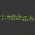 Clustered Green Leafy Plants With Pink Flowers Arranged On White Background