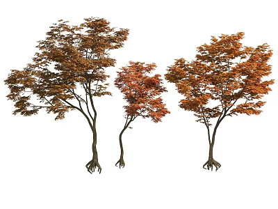 Three Trees With Orange Brown Leaves And Birds Perching On Branches And Roots 3d model