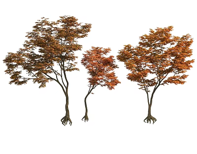 Three Trees With Orange Brown Leaves And Birds Perching On Branches And Roots 3d model