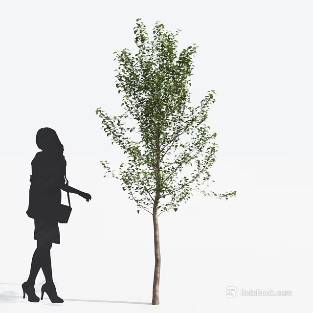 Tall Arbor With Green Leaves And Person Silhouette Walking Beside 3d model 