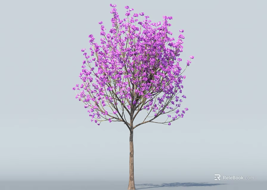 Beautiful Purple Flowering Tree With Brown Trunk Against Light Blue Background 3d model 