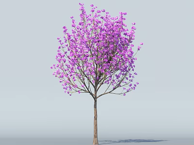 Beautiful Purple Flowering Tree With Brown Trunk Against Light Blue Background 3d model