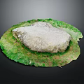 Natural Stone Decorative Piece With Circular Grassy Base And Textured Surface
