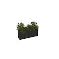 Bonsai Potted Plants In Gray Concrete Rectangular Container With Lush Green Foliage 3d model