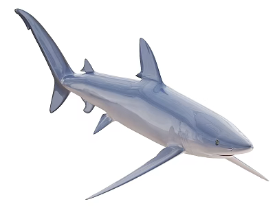 Blue Shark Lifelike Aquatic Animal Model With Detailed Fins And Body Structure 3d model