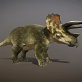 Highly Detailed Triceratops Dinosaur 3D Model With Horned Head And Frill