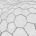 Two Detailed Wireframe Cloud Mesh Structures In 3D Digital Rendering Design