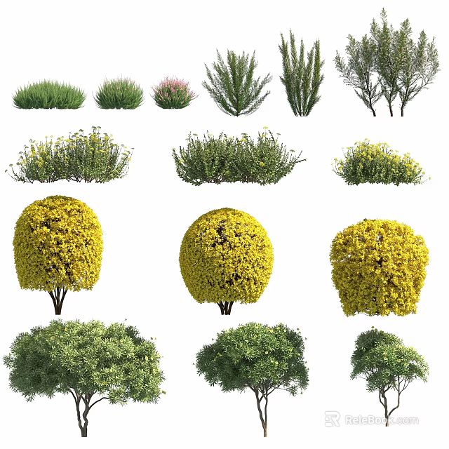 Different Garden Shrubs Featuring Rounded Forms Yellow Flowers and Lush Green Foliage 3d model 