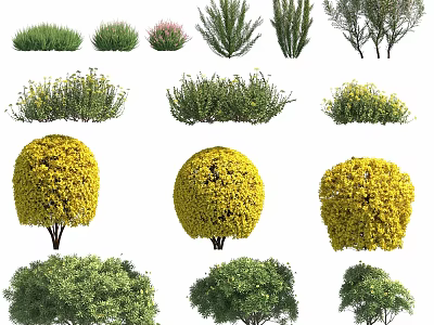 Different Garden Shrubs Featuring Rounded Forms Yellow Flowers and Lush Green Foliage 3d model