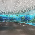 Aquarium Exhibit With Curved Glass Wall Colorful Fish Underwater Plants And Flooring Markers