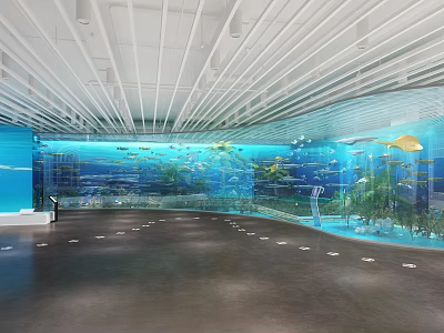 Aquarium Exhibit With Curved Glass Wall Colorful Fish Underwater Plants And Flooring Markers 3d model