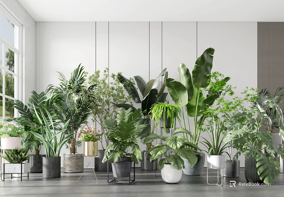 Indoor Potted Plants Collection With Various Green Leafy Species And Decorative Pots 3d model 