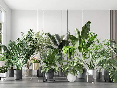 Modern potted plant potted combination 3d model