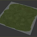 Lush Green Vegetation Coverage In Irregular Shaped Natural Plant Area With Grassy Surface