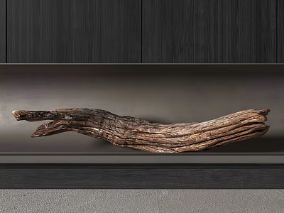 Twisted Driftwood Sculpture On Dark Wooden Shelf With Natural Texture 3d model