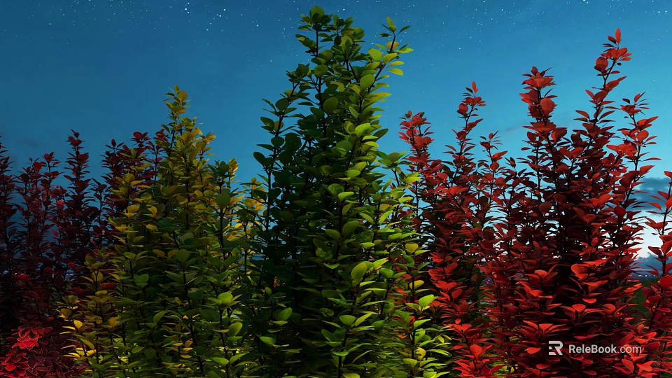 Vibrant Green Red and Yellow Bushes Growing Against Dark Blue Night Sky 3d model 