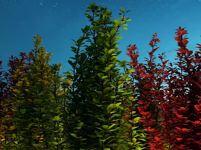 Vibrant Green Red and Yellow Bushes Growing Against Dark Blue Night Sky 3d model