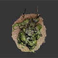 Natural Wood and Stone Decorative Piece with Mossy Stump Sandy Base and Twigs