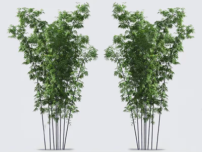 Tall Bamboo Plants With Green Leaves And Black Poles Against Light Gray Background 3d model