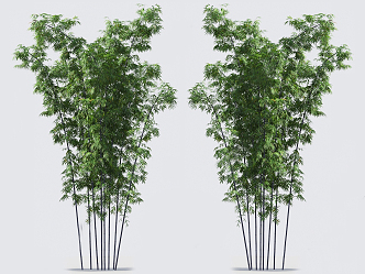 Modern bamboo 3d model