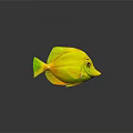 Bright Yellow Tropical Fish with Green Fins Orange Eyes and Pointed Snout