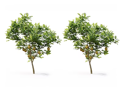 Two Arbor Trees With Lush Green Leaves And Ripe Fruits On White Backdrop 3d model