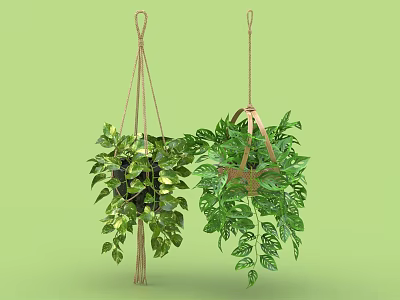 Lush Green Hanging Potted Plants With Decorative Holders And Cascading Leaves 3d model