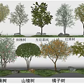Fruit Tree Plant Combination Lemon Tree Locust Tree Fig Tree Pomegranate Tree Hawthorn Tree Orange Tree Apple Tree Red Fruit Tree Fruit Tree 3d model