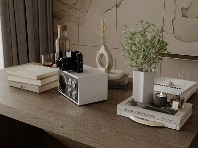 Inflatable Decorative Model On Wooden Desk With Camera Books And Plants 3d model