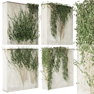 Lush Green Hanging Vine Plants With Dense Leaves On White Wooden Background 3d model