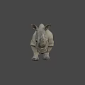 Highly Detailed 3D Rhinoceros Model With Realistic Texture And Gray Background