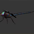 Vibrant Dragonfly With Blue Wings Colorful Eyes And Dark Body Blue Stripes